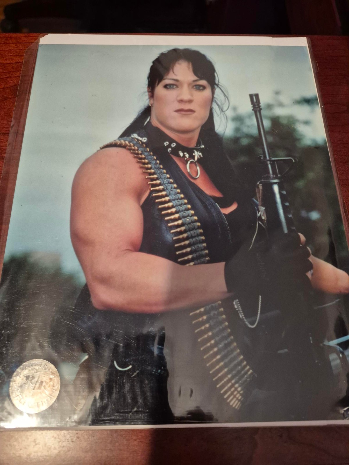 CHYNA WWE Wrestler DIVA ~Joan Laurer~ Lot of 2 Pin-Up Movie Photo +Brooke Hogan