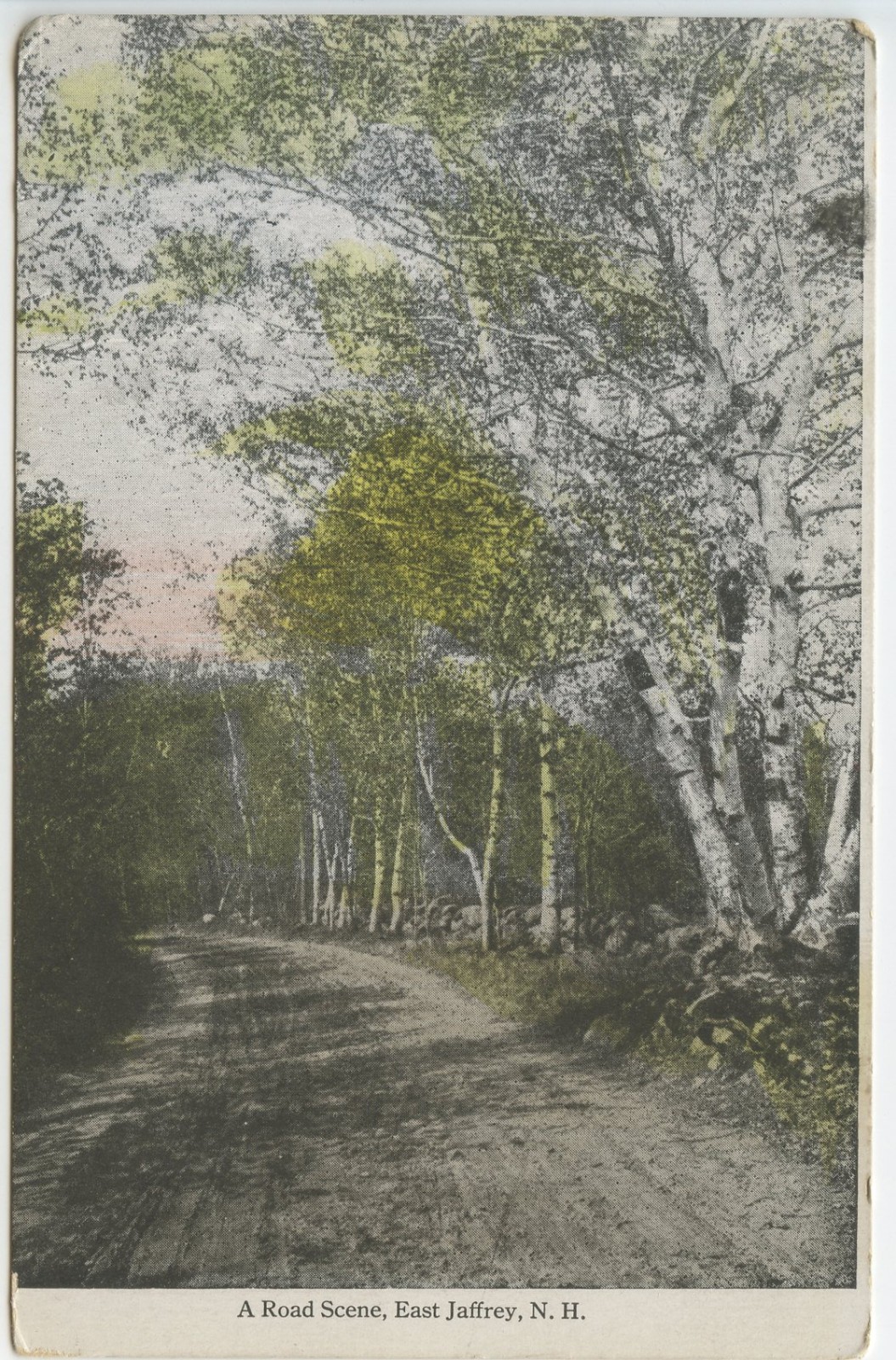 Vintage 1910s Postcard: East Jaffrey NH New Hampshire Road Scene Swallow Co