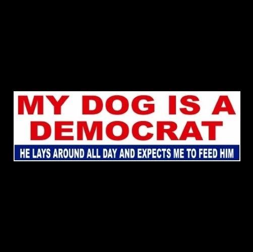 Funny 