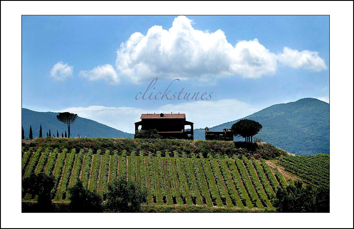 *2013* 'VINEYARDS OF SOUTHERN FRANCE' 30 *2013* 'VINEYARDS OF SOUTHERN FRANCE' 30