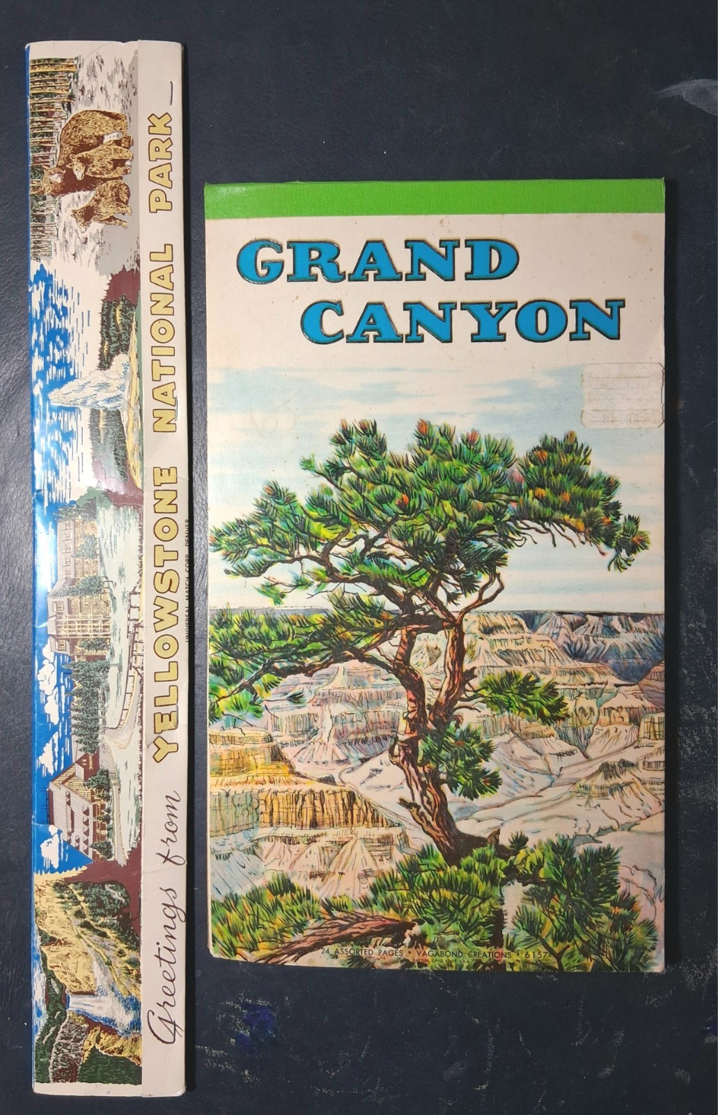 Lot 2 VTG National Parks Souvenirs 12\