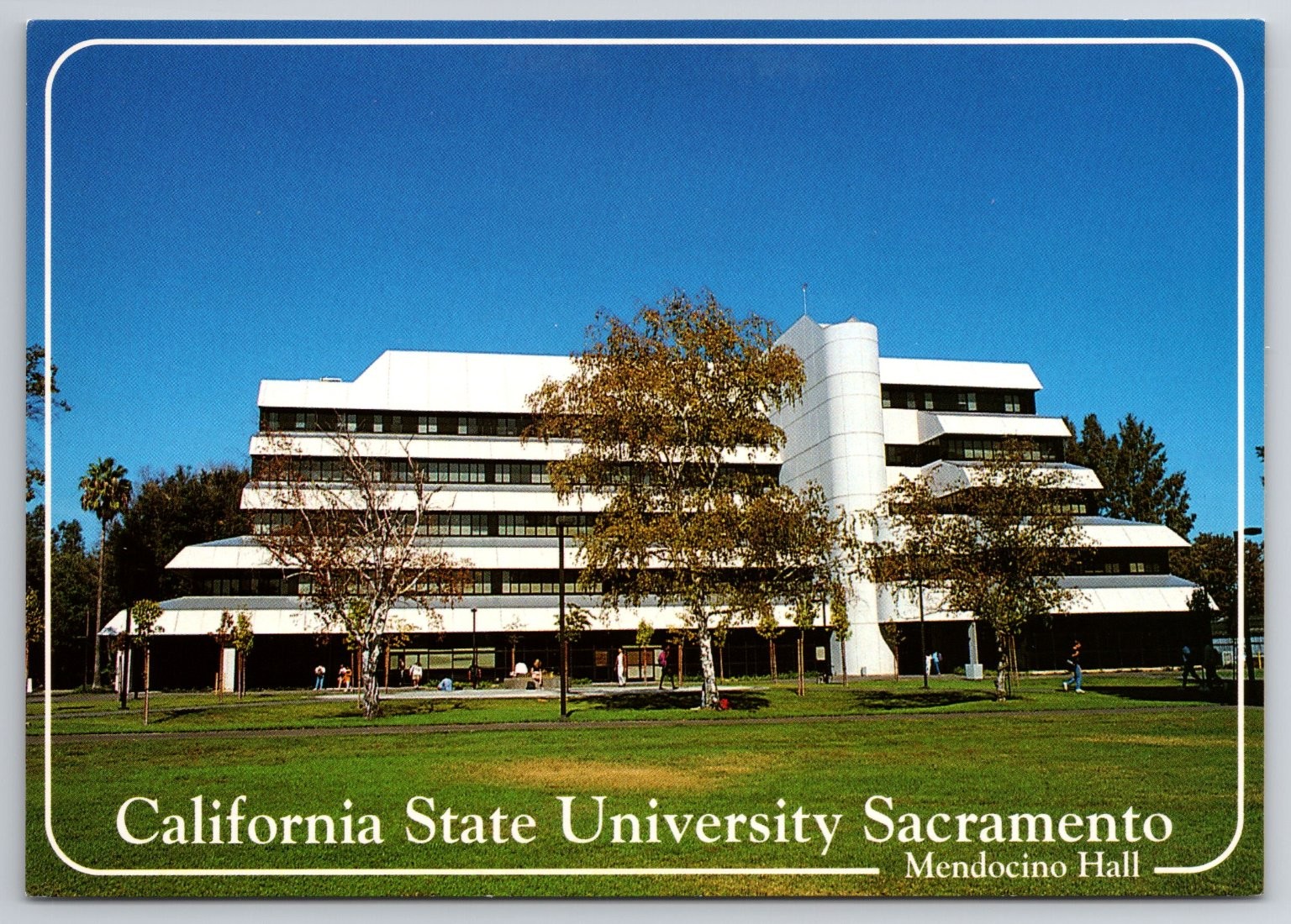 California State University Sacramento Mendocino Hall Photochrome Postcard