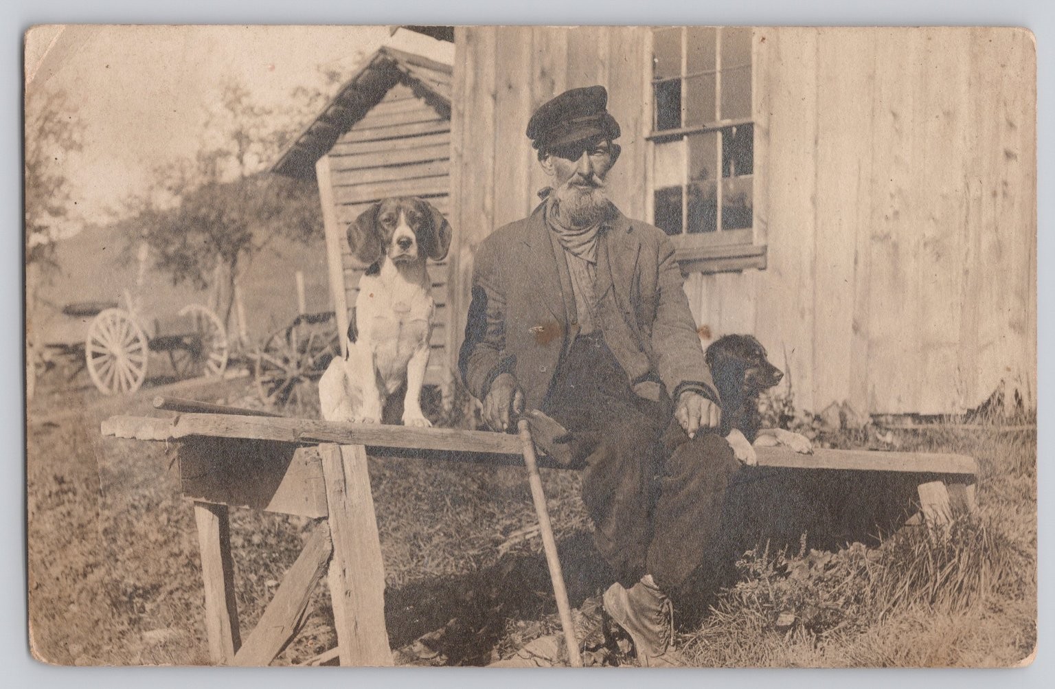 Vintage RPPC Old Man with Beard & 2 Dogs Rustic Farm Scene Postcard NOKO