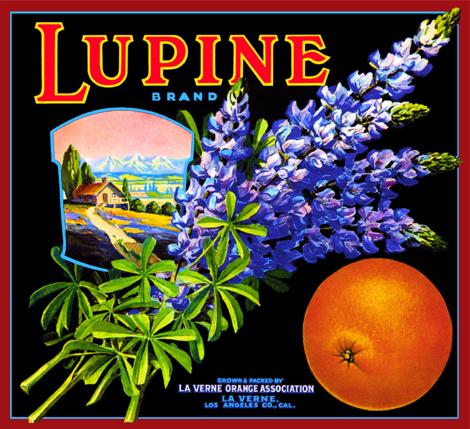 La Verne Lordsburg Lupine Flowers Orange Citrus Fruit Crate Label Art Print