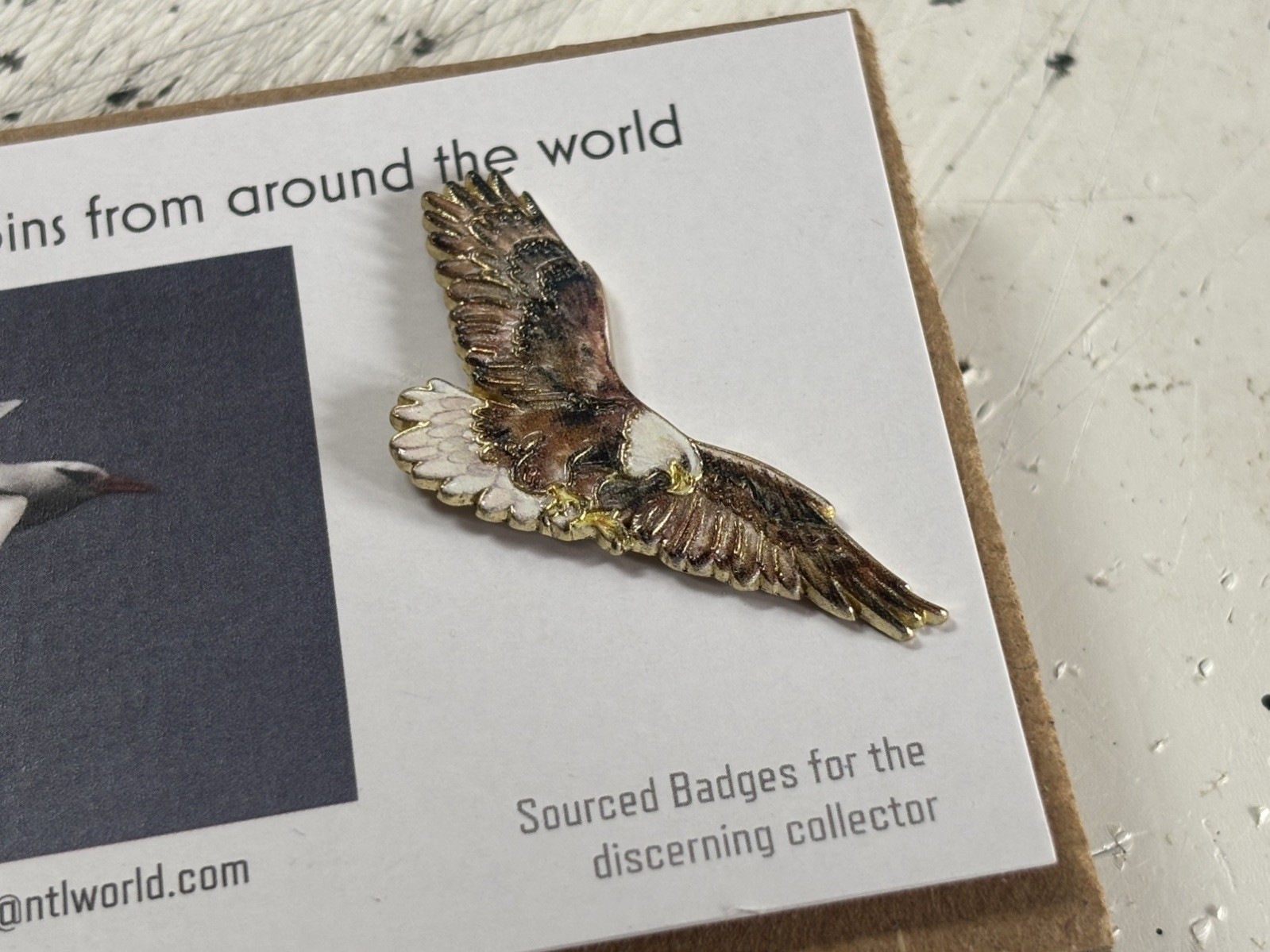 RSPB interest AMERICAN BALD EAGLE enamel pin badge on independent Card bird