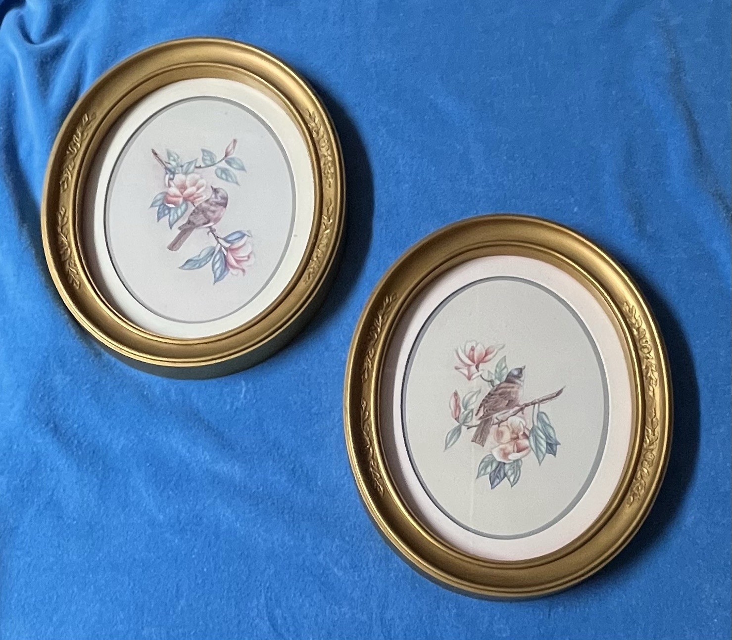 Vtg Homco Oval Gold Framed Bird Prints Kay Lamb Shannon