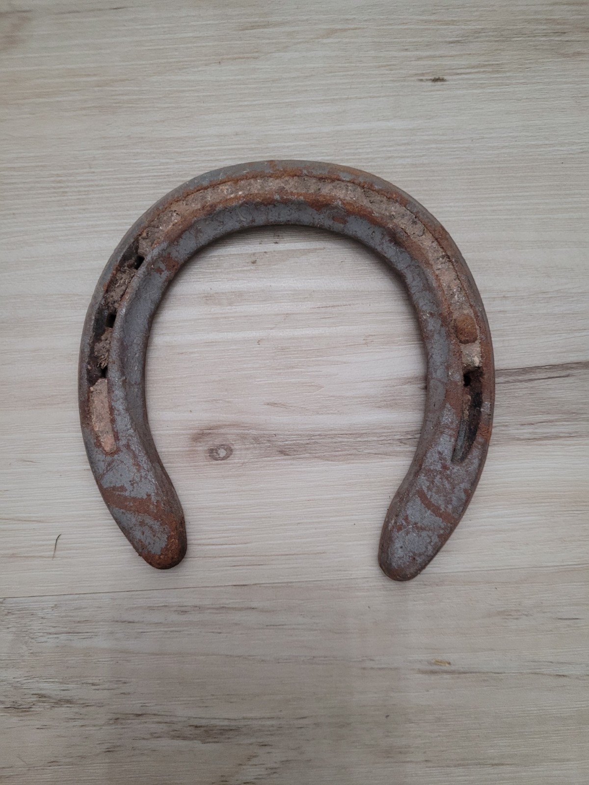 Old Rusty Horseshoe Good Luck Charm Western Cowboy Horse Shoes Decor Vintage