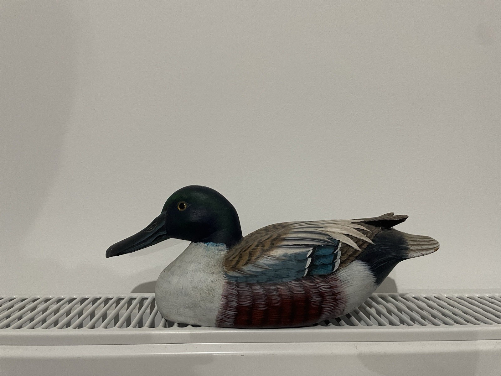 Vintage Hand Carved Wooden Duck Decoy Northern Shoveler Mallard Glass Eyes 