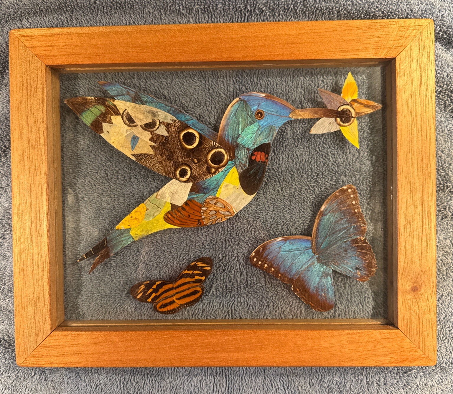 Vintage Butterfly Wing Humming Bird Art Framed 11 x 9 In Handmade Folk Art Vintage Butterfly Wing Humming Bird Art Framed 11 x 9 In Handmade Folk Art