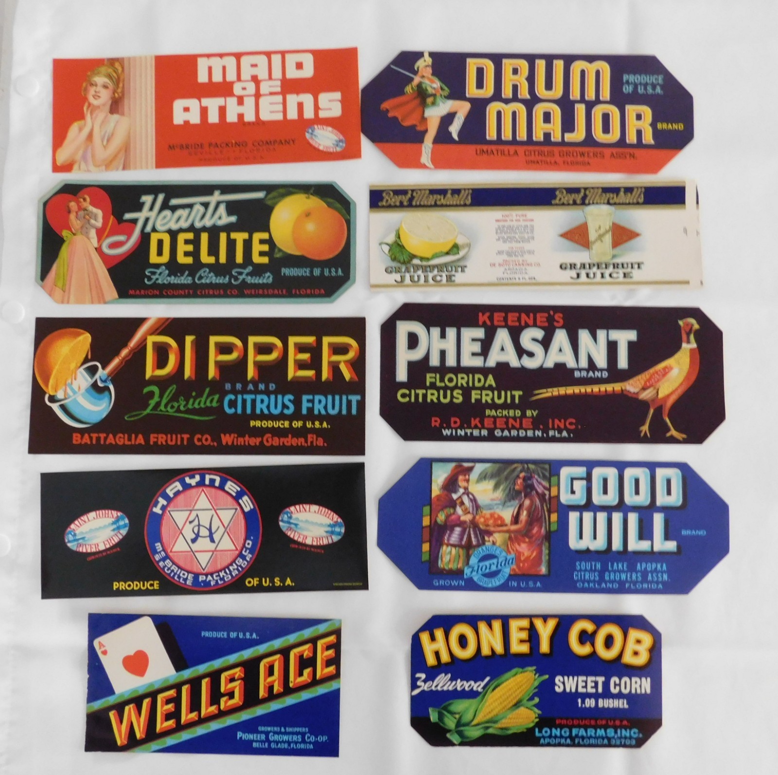 50 Different Vintage Florida Crate Labels 50 Different Vintage Florida Crate Labels