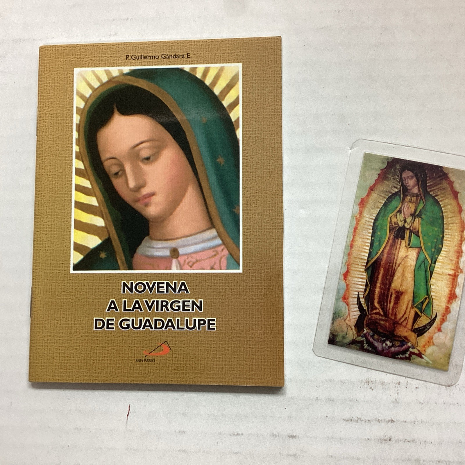 Novena A La Virgen De Guadalupe Prayer Book Songs Protection Favors & Holy Card Novena A La Virgen De Guadalupe Prayer Book Songs Protection Favors & Holy Card