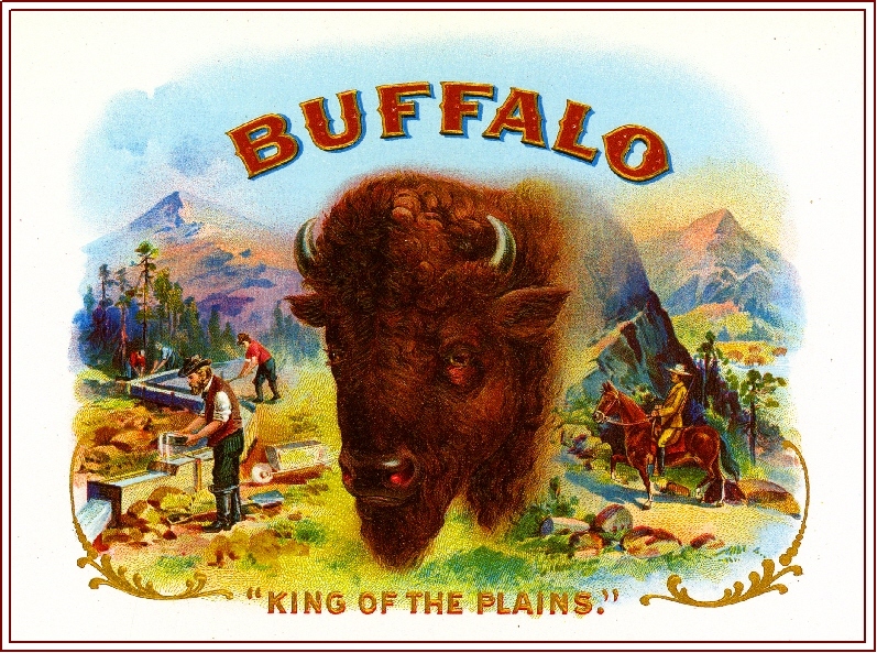 1919 Buffalo Bison Smoke Vintage Cigar Tobacco Box Crate Inner Label Print