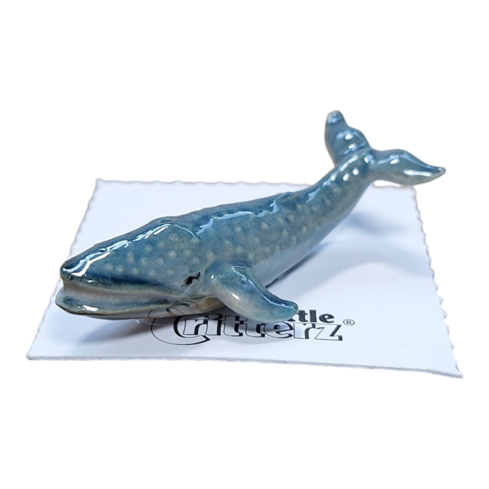 LITTLE CRITTERZ Blue Whale \ LITTLE CRITTERZ Blue Whale \