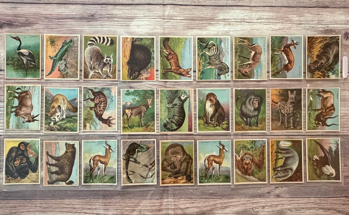1925 Harry Horne Nu-Jell Complete 27 Card Contest Set Animal Advertising Rare