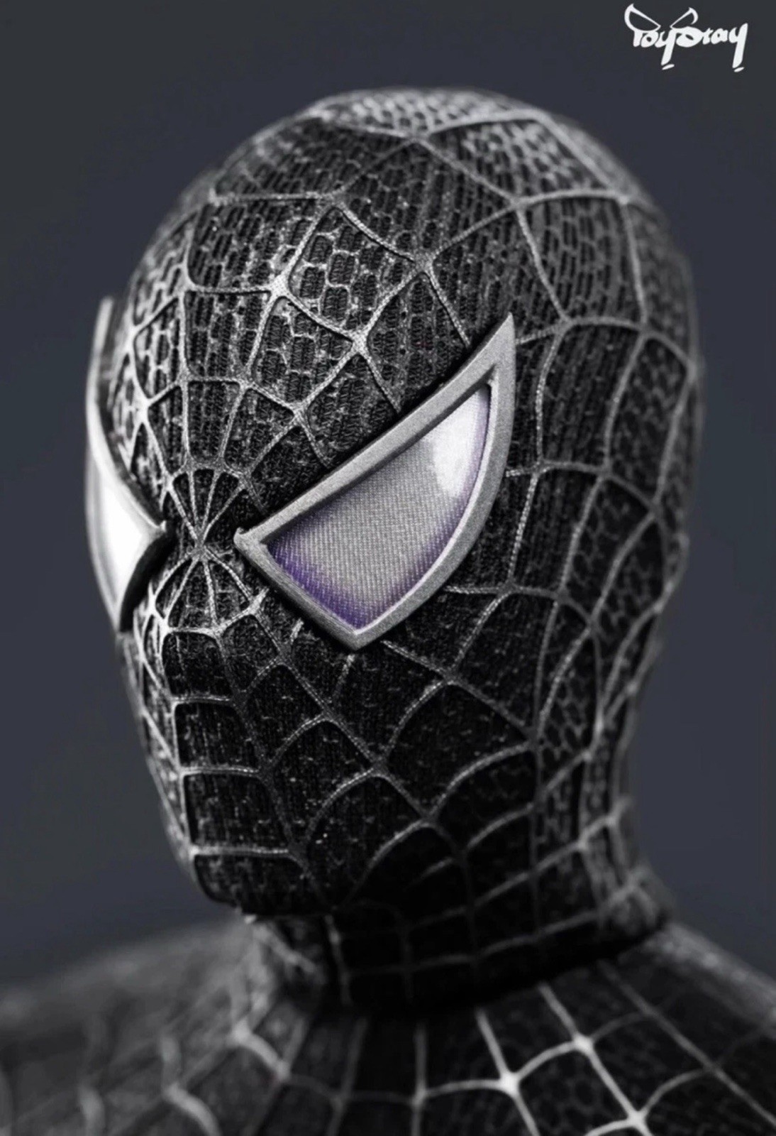 Toystay  1/6  Black Suit Spiderman Head-sculpt Hottoys Tobey