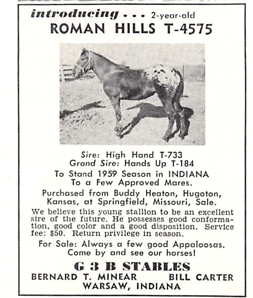 Bernard T Minear Roman Hills Stud Services Warsaw Indiana Vtg Magazine Print Ad
