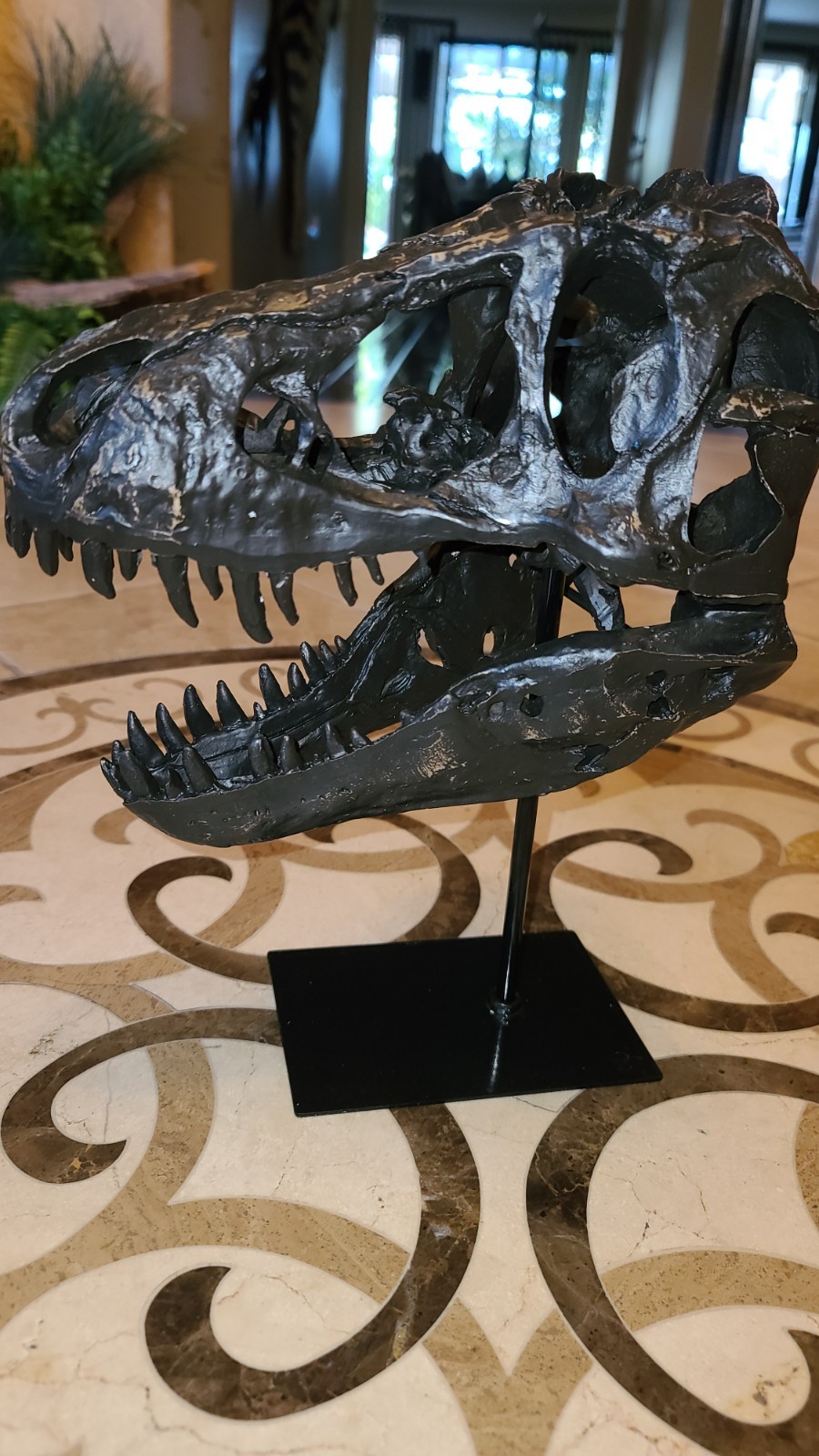 Dinosaur Fossil Tyrannosaurus Rex Skull Resin Cast Approx. 13 Inches Detailed