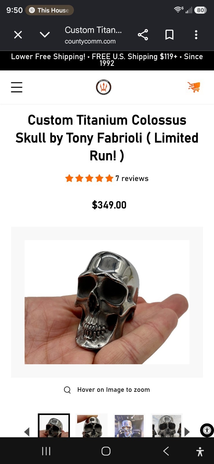 County Comm Troy Fabrioli Titanium Skull