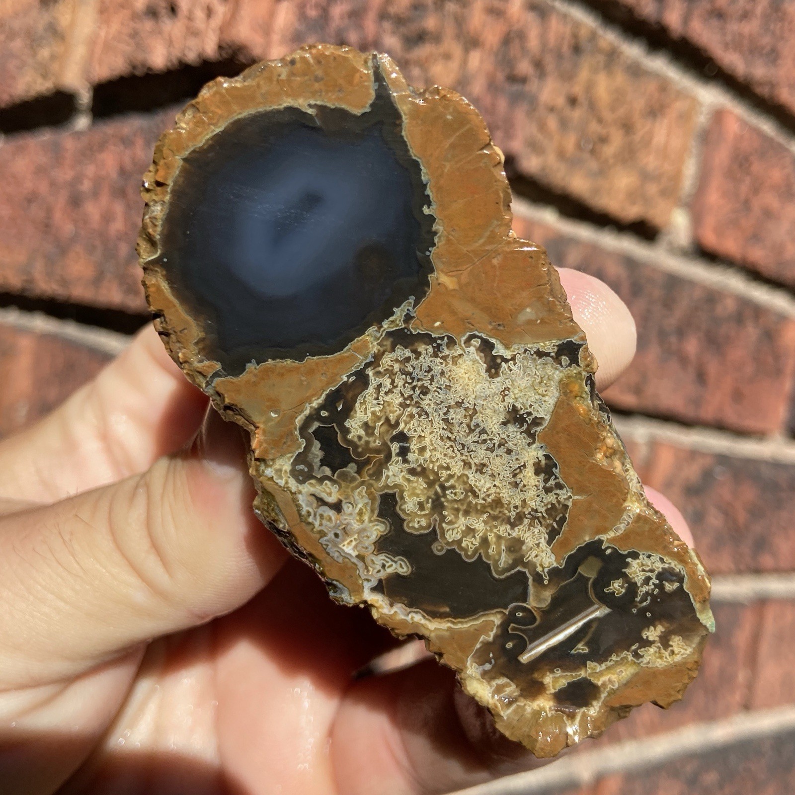Amazing Triple Cell Mossy Thunder Egg Lapidary Stone 4.69 Oz