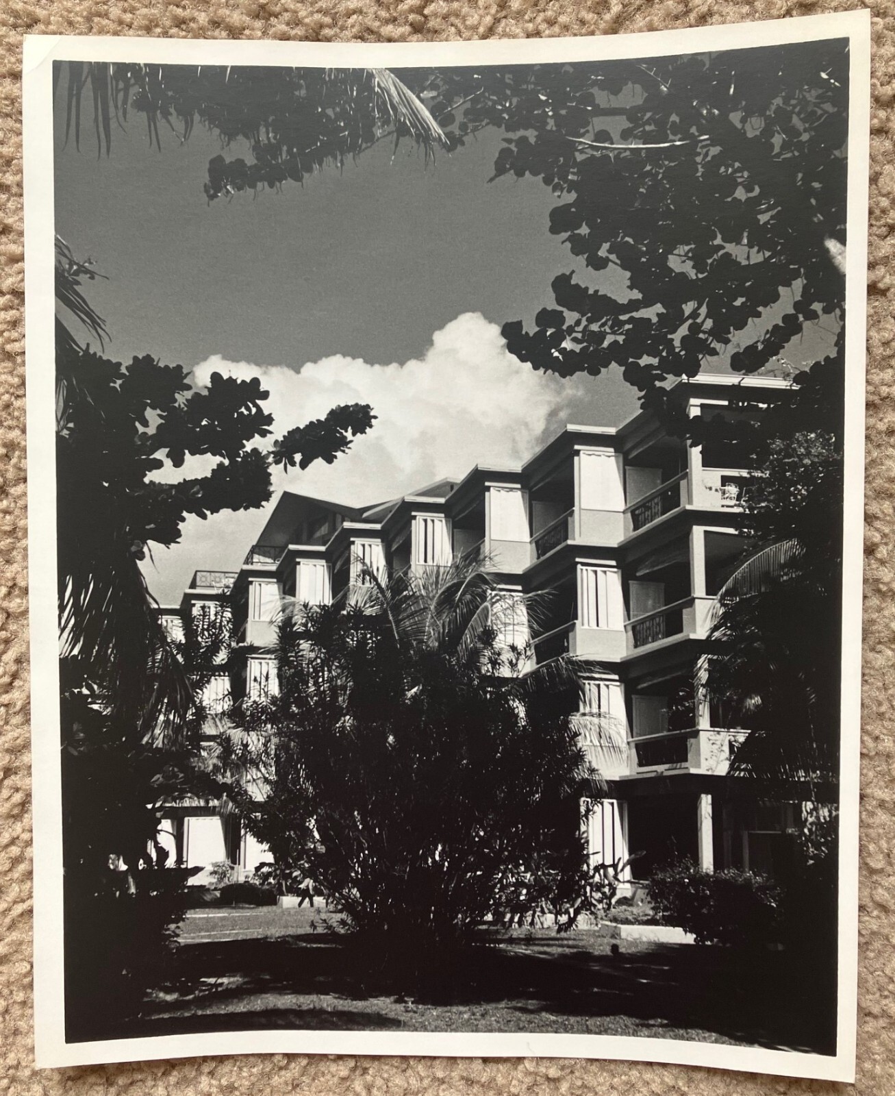 Vtg Original 1960\'s Don Ware B&W Photo Montego Beach Hotel Jamaica 8x10