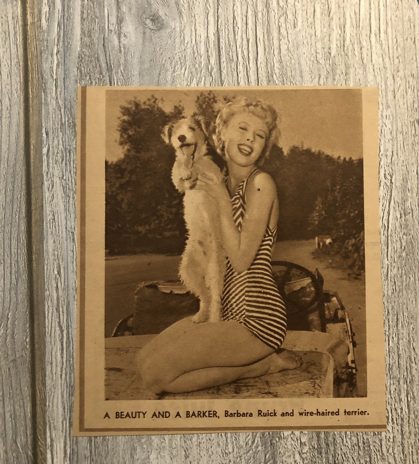 VTG Hollywood Actress Barbara Ruick Magazine Clipping 0C25