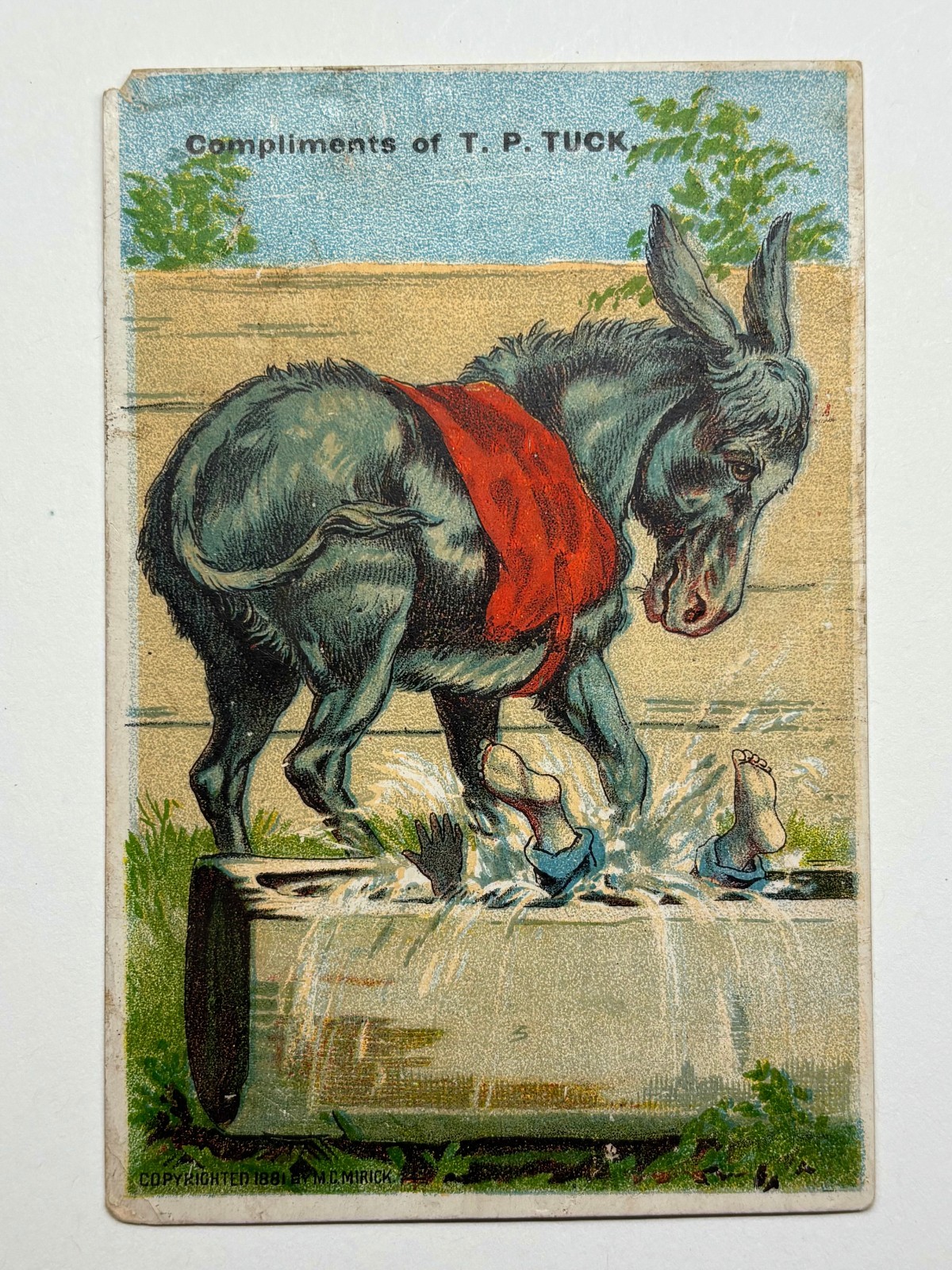 Victorian Trade Card: 1880s - T P Tuck - Donkey - Boy in Water Trough - Receipt