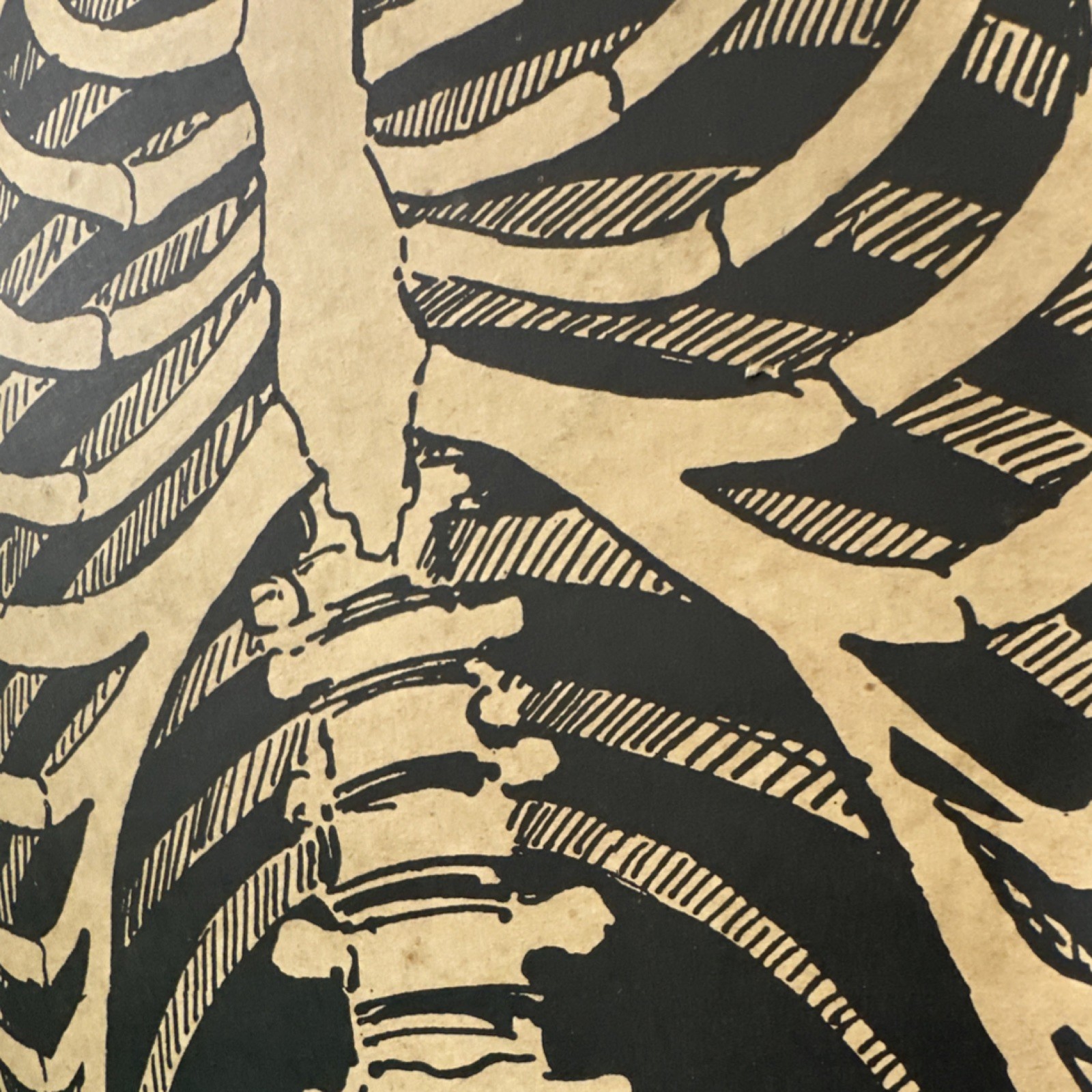 Vintage large Halloween Skeleton Hanging Cardboard articulated 55”