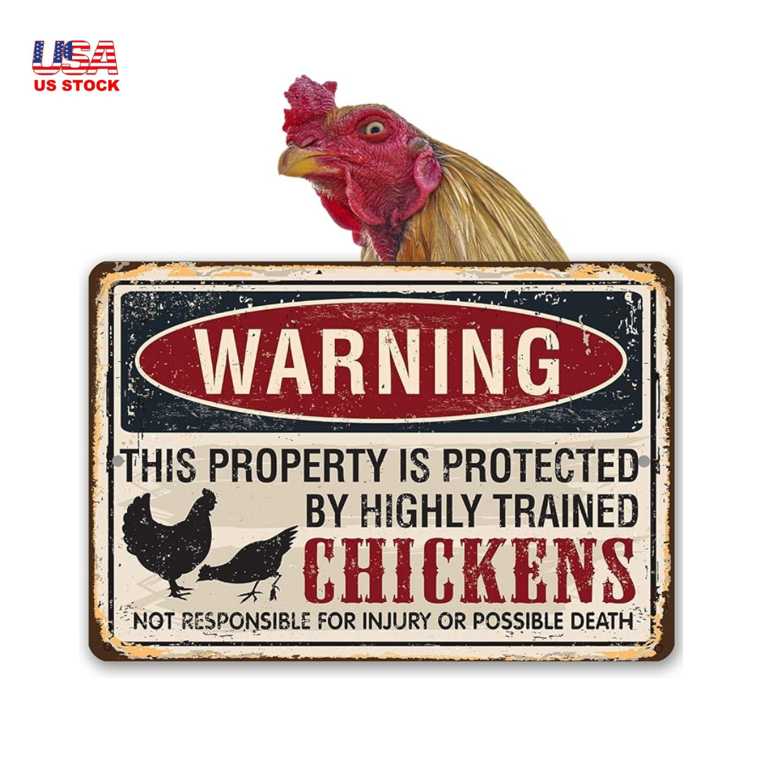 Funny Chicken Coop - 