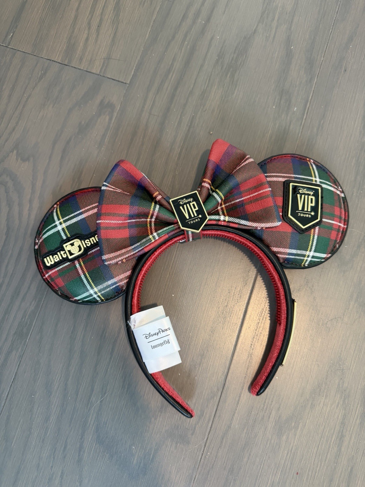 Disney VIP Tour Exclusive Ears