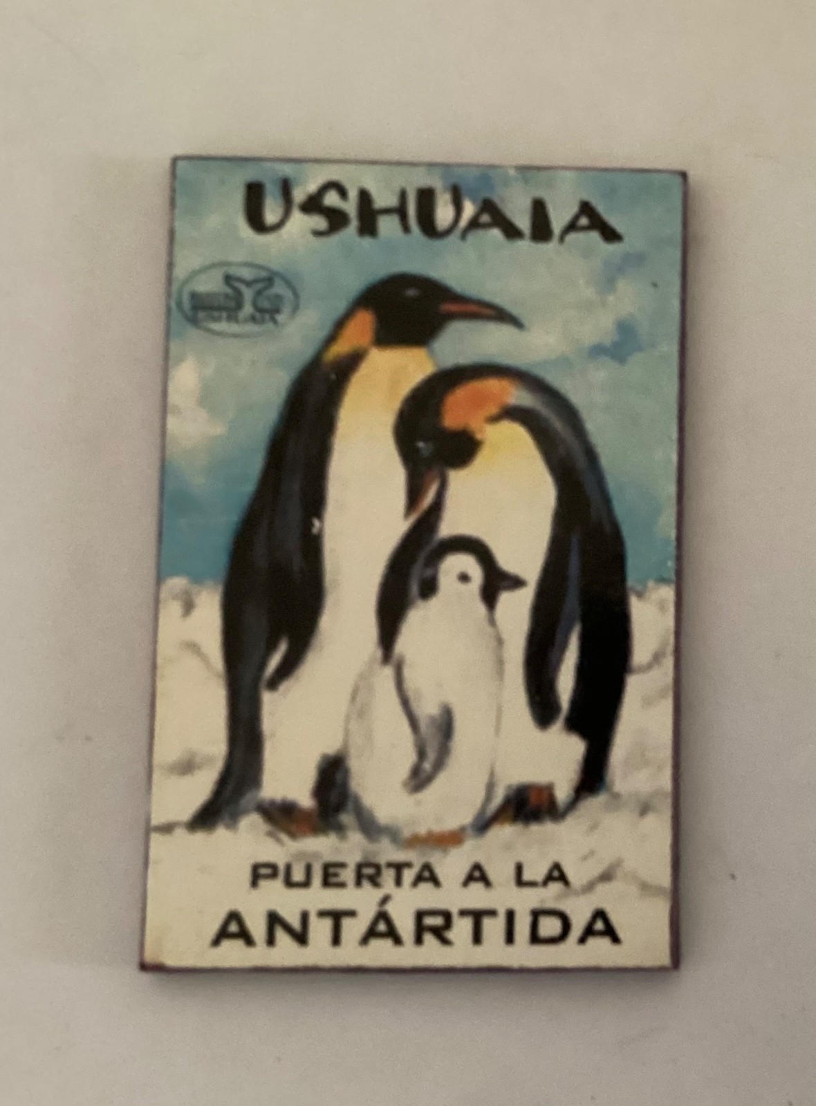 Penguin Ushuaia, Argentina Fridge Magnet TB