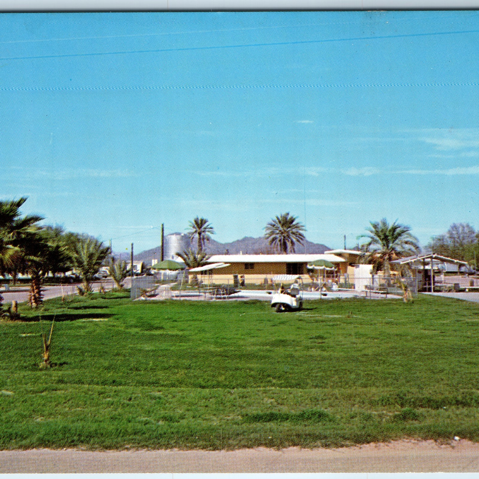 c1960s Gila Bend, AZ Palms Mobil Inn Trailer Park Pool Desert Oasis Postcard c1960s Gila Bend, AZ Palms Mobil Inn Trailer Park Pool Desert Oasis Postcard
