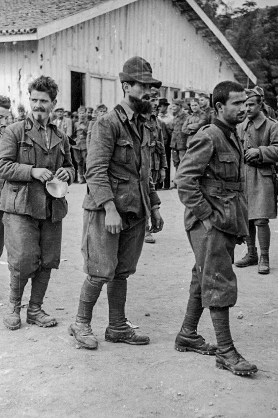 1941 Italian Prisoners Prisoners of War Greco-Italian War 4x6 Photo