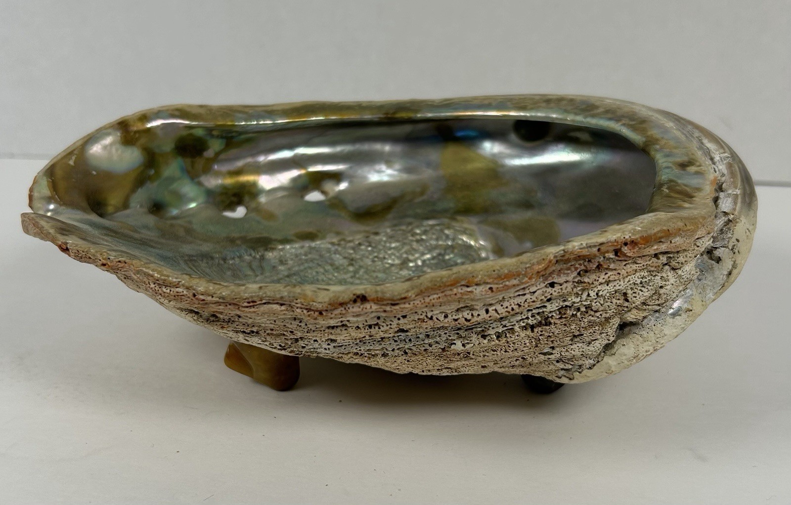 Vintage Natural Abalone Shell Footed Soap Dish Trinket Dish 8 Vintage Natural Abalone Shell Footed Soap Dish Trinket Dish 8