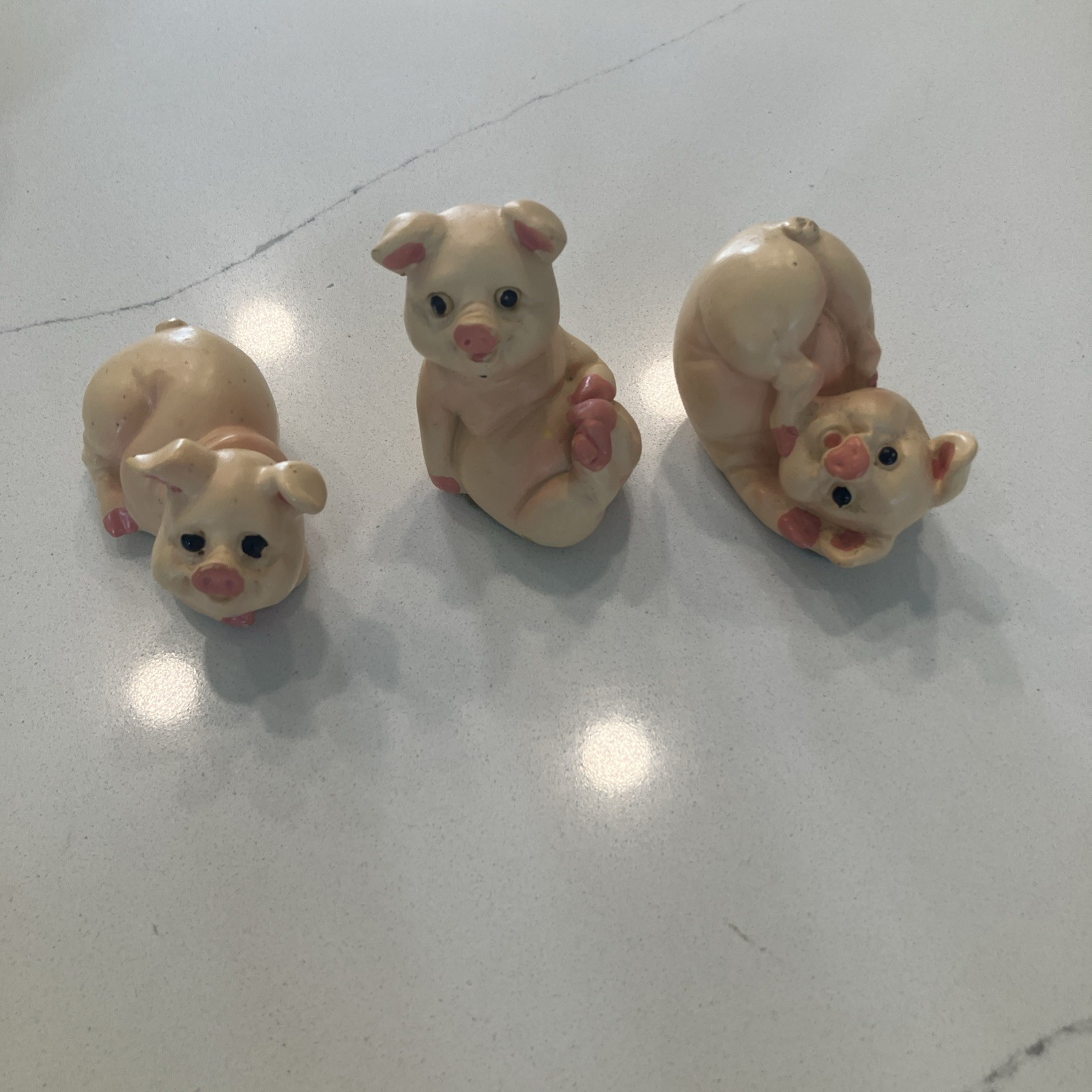 Whimsical Baby Porky Pig Piggies\