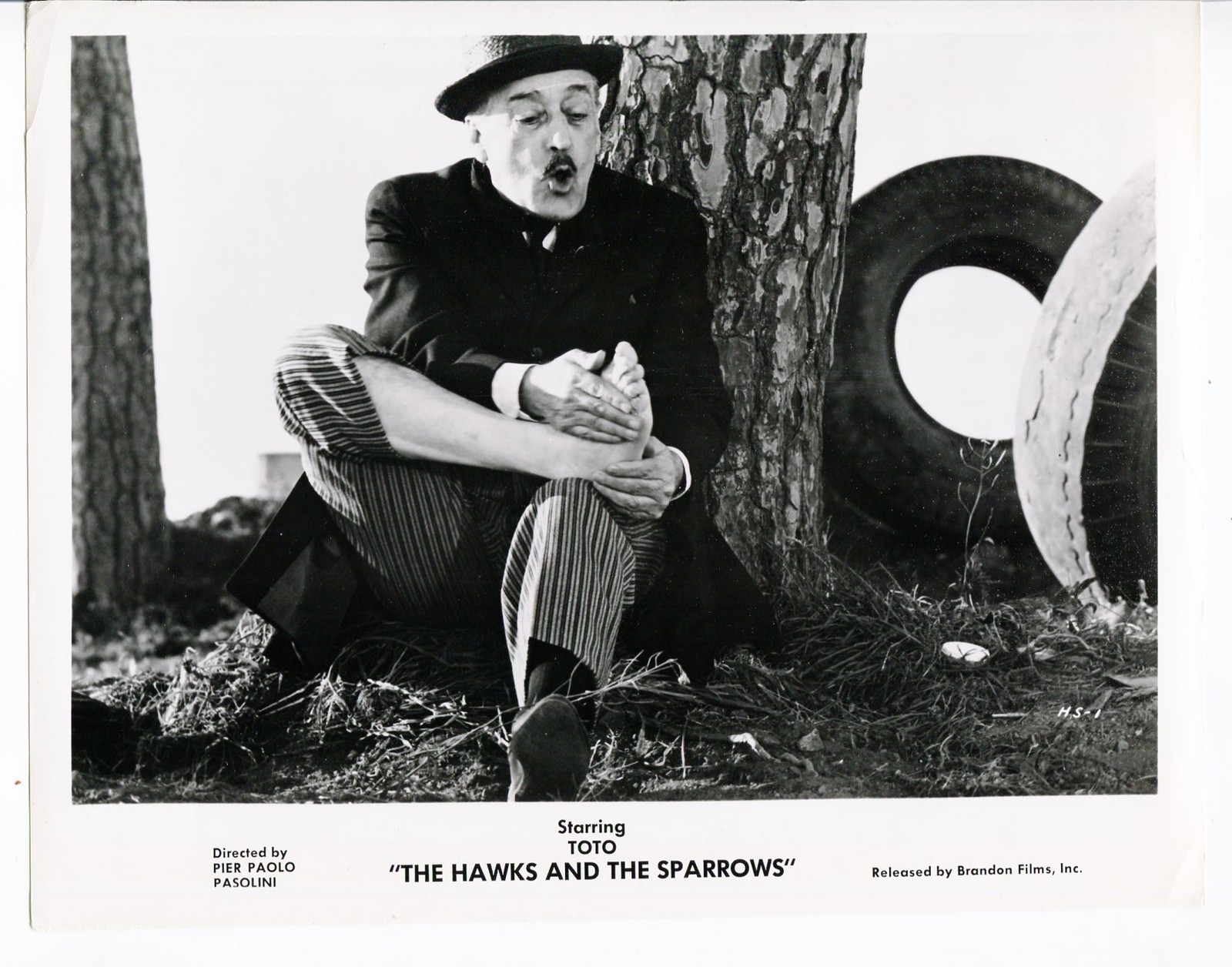 Hawks And The Sparrows-Toto-8x10-B&W-Promo-Still-Drama Hawks And The Sparrows-Toto-8x10-B&W-Promo-Still-Drama