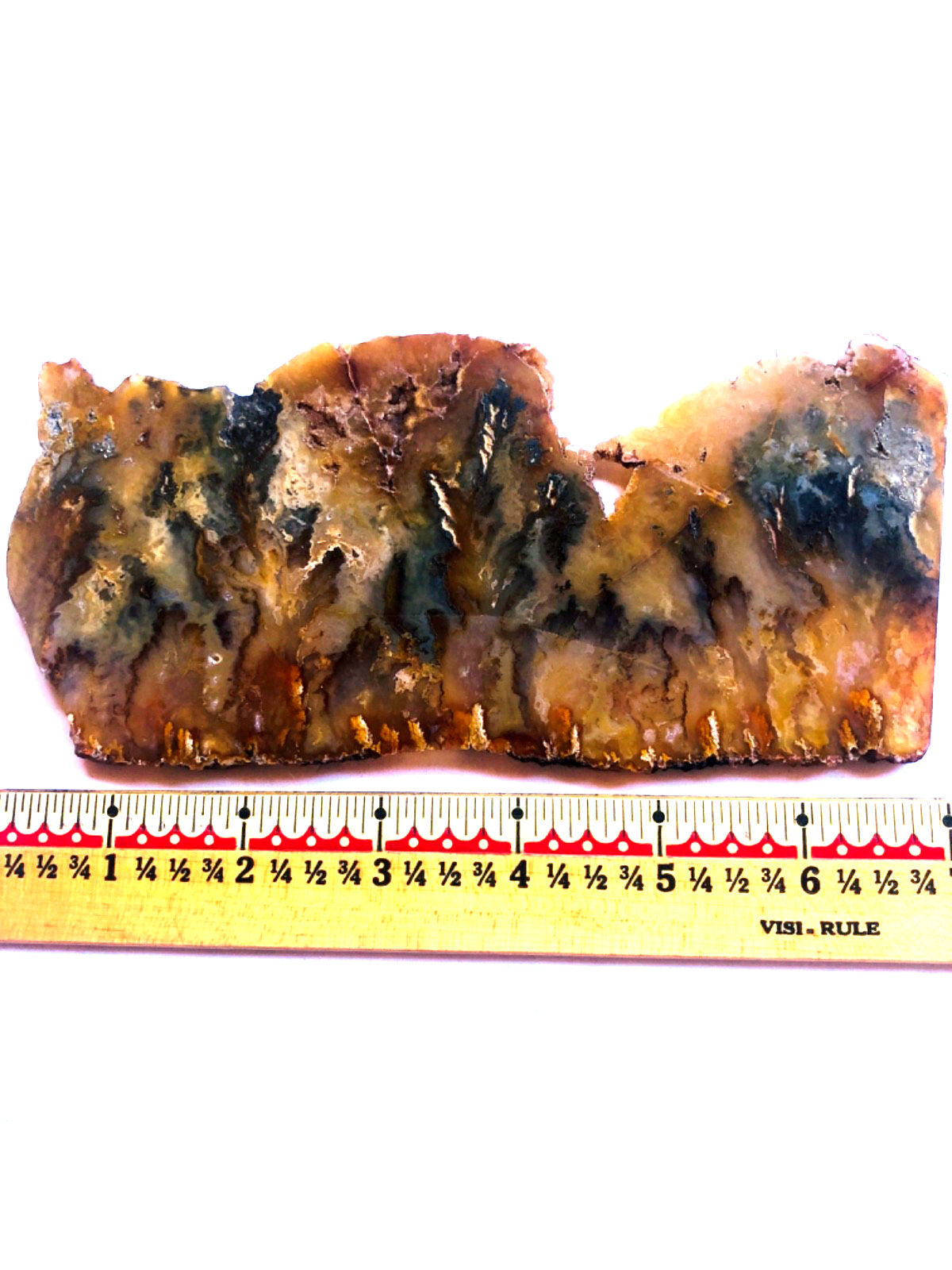 Graveyard Plume Agate Collectors Slab Oregon 202 Grams Graveyard Plume Agate Collectors Slab Oregon 202 Grams