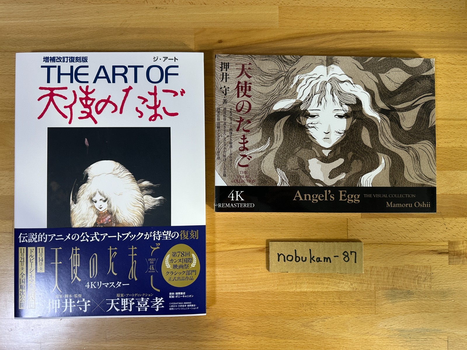 THE ART OF Tenshi no Tamago Angel\'s Egg + THE VISUAL COLLECTION Mamoru Oshii set