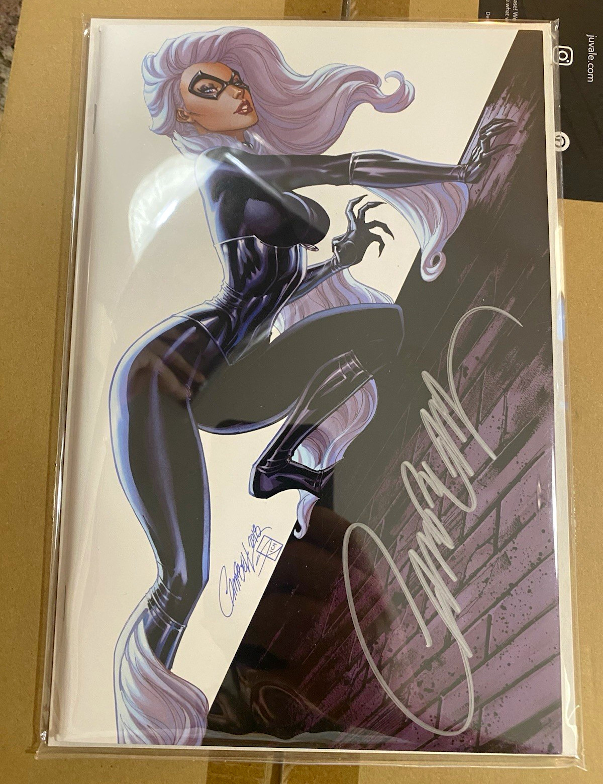J. Scott Campbell Black Cat ASM #800 Virgin Settle Exclusive Auto COA 2018 J. Scott Campbell Black Cat ASM #800 Virgin Settle Exclusive Auto COA 2018
