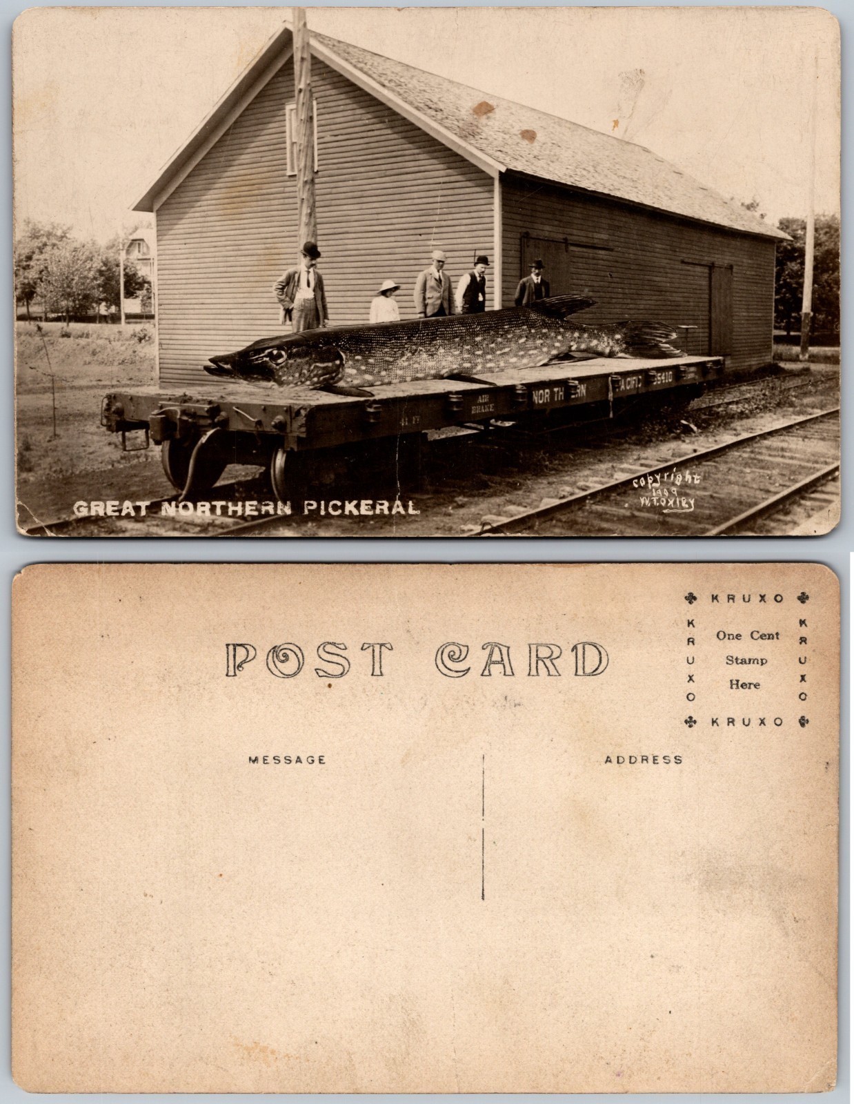 Antique 1909 Exaggeration Postcard Giant Great Northern Pickerel Fish Railroad