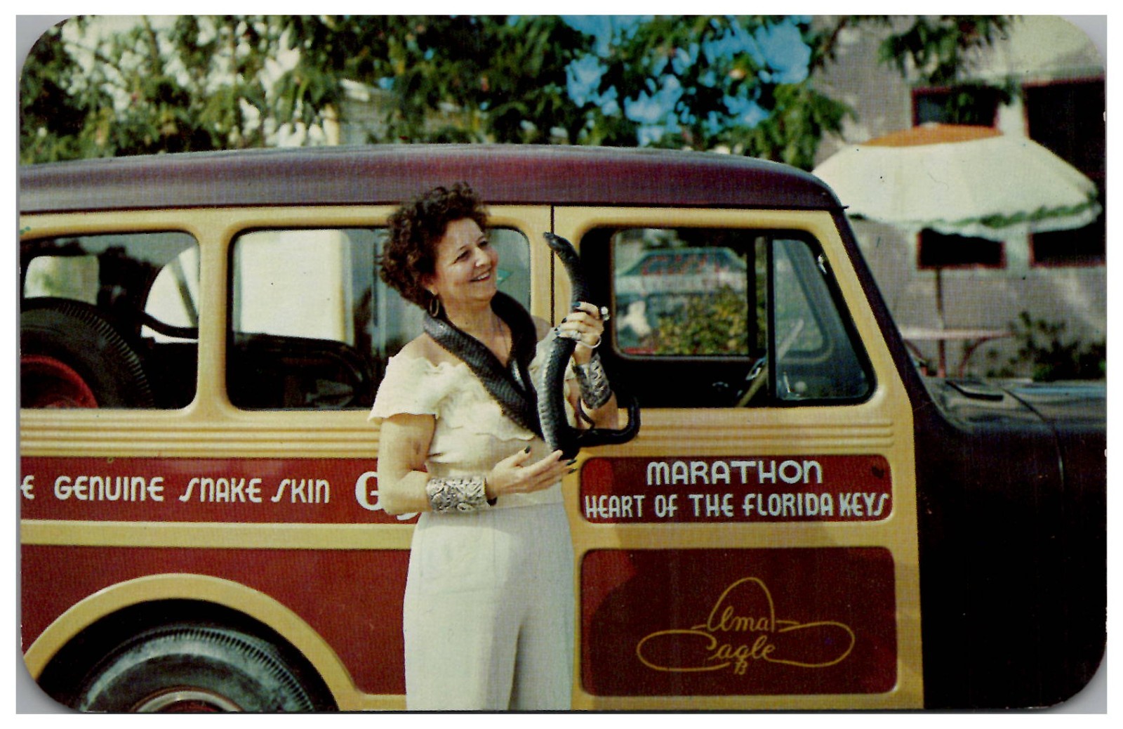 Marathon Key FL Alma Eagle Holding Snake Vtg Florida Postcard 1951