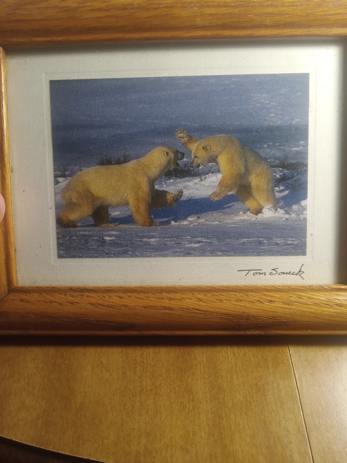 Tom Soucek Print Picture Polar Bears Fighting 8 1/2\