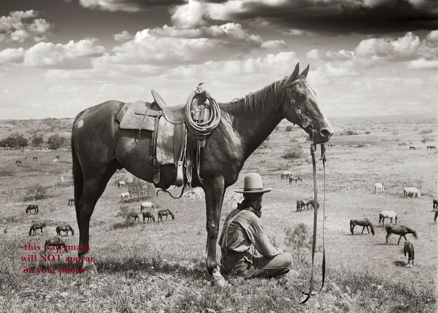 Wild West Texas Cowboy PHOTO Horse Rancher Country Sky Art Old West 1910 Wild West Texas Cowboy PHOTO Horse Rancher Country Sky Art Old West 1910