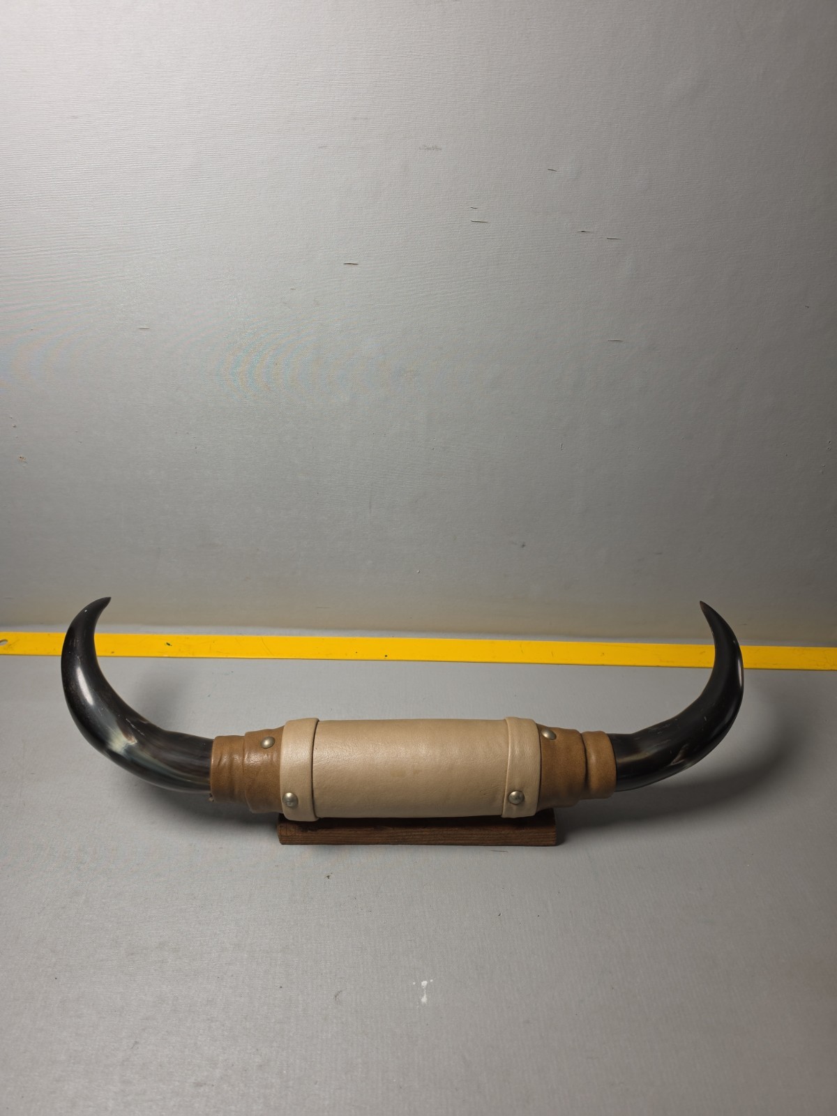 Vintage Mounted Steer Horns 20