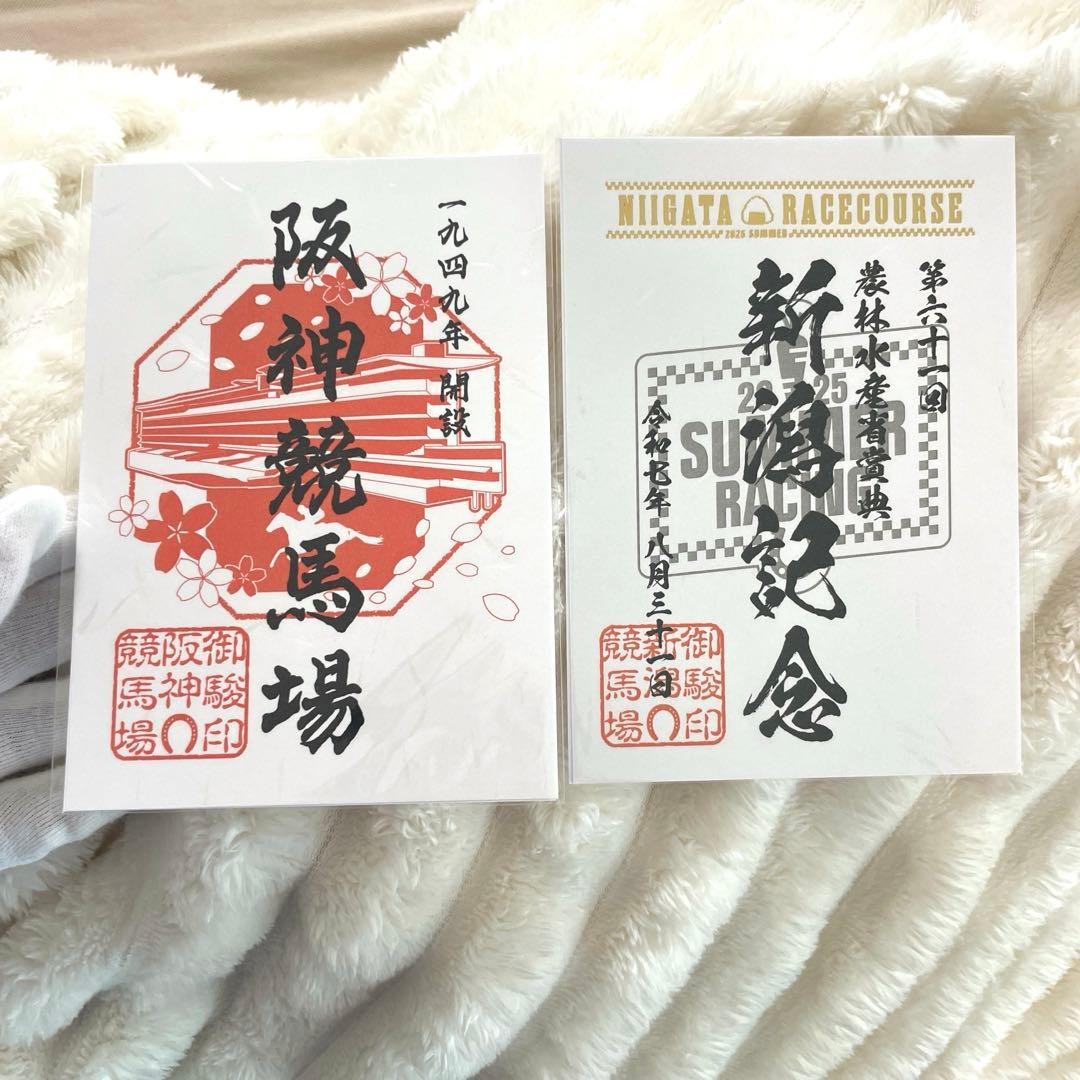 Goshuin Gosun Seal Hanshin Racecourse & 2025 Niigata Memorial Set Collection Us