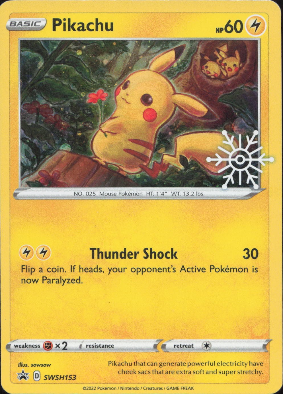 Pokemon Pikachu (Holiday Calendar) SWSH153 Holo Promo Sword & Shield Promo NM