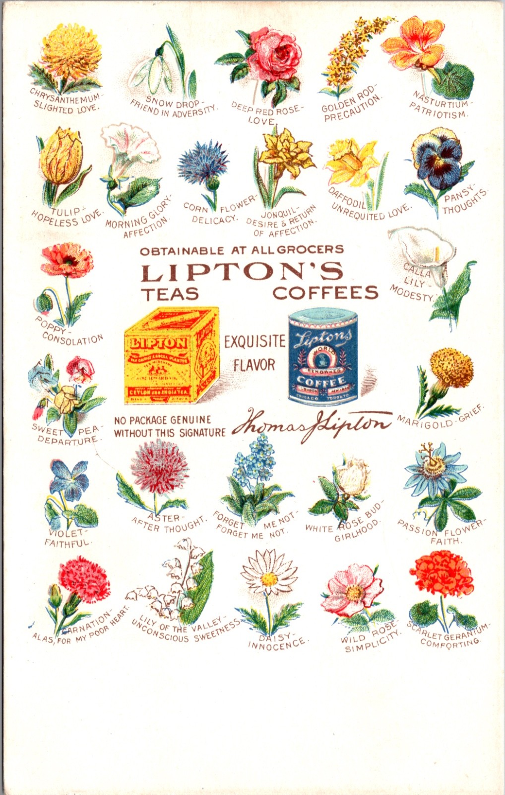 Lipton\'s Teas Coffees Language of Flowers Advertising Postcard Unused