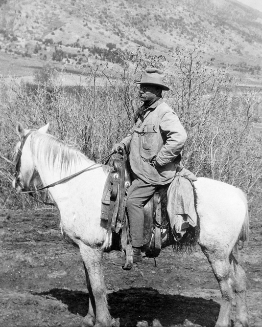 1910 THEODORE \'TEDDY\' ROOSEVELT Glossy 8x10 Photo President at Badlands Print