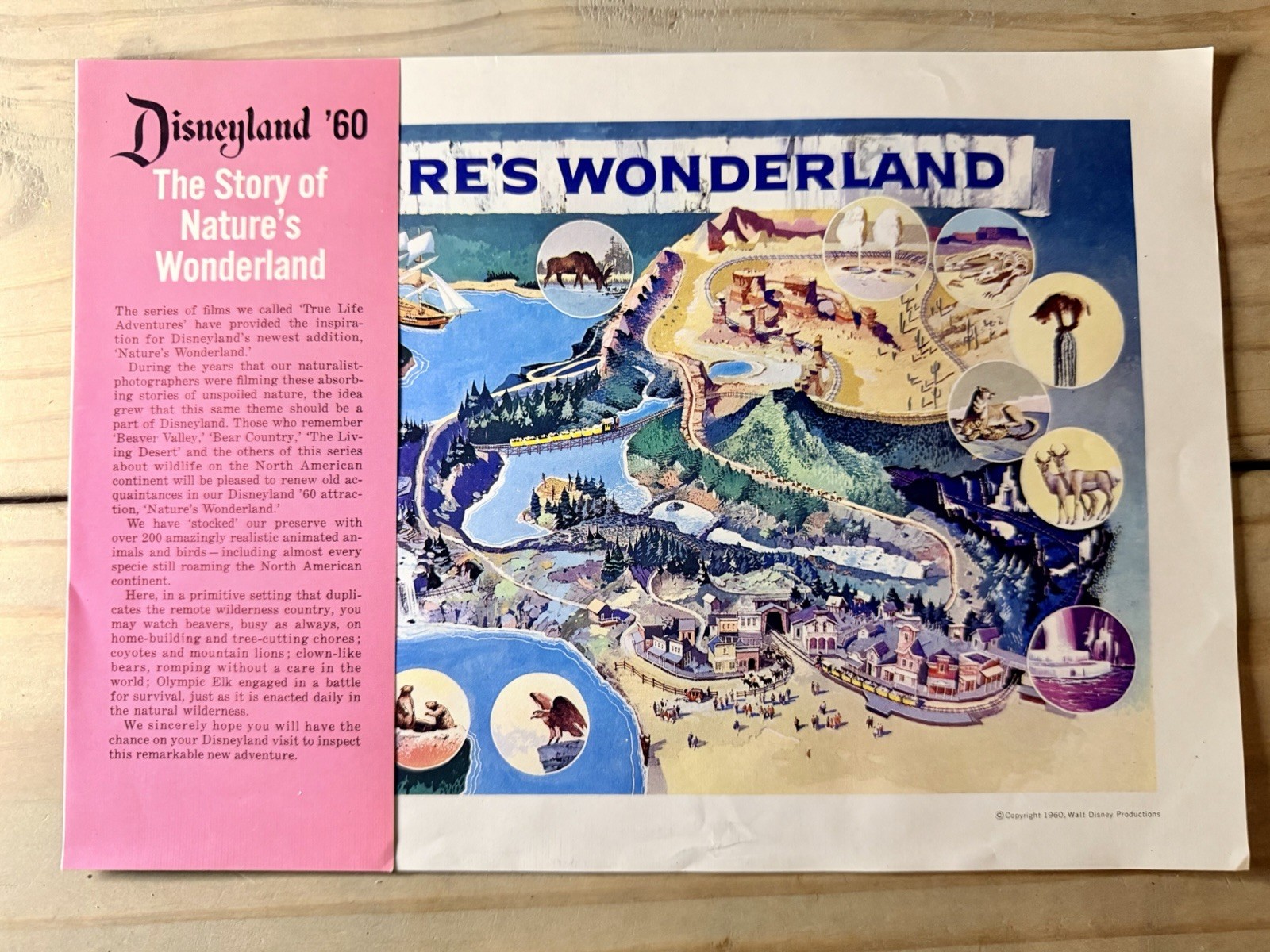 Rare VTG 1960 Disneyland Natures Wonderland Flyer Guidebook Insert Map Disneyana