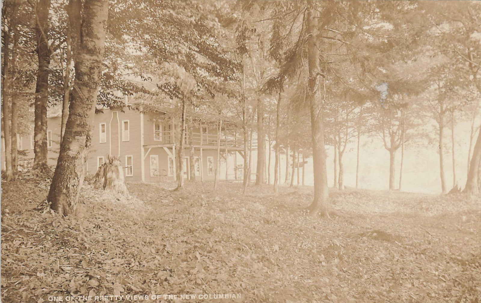 VINTAGE RPPC ONE OF THE PRETTY VIEWS OF THE NEW COLUBIAN-CRANBERRY LAKE NEW YORK VINTAGE RPPC ONE OF THE PRETTY VIEWS OF THE NEW COLUBIAN-CRANBERRY LAKE NEW YORK