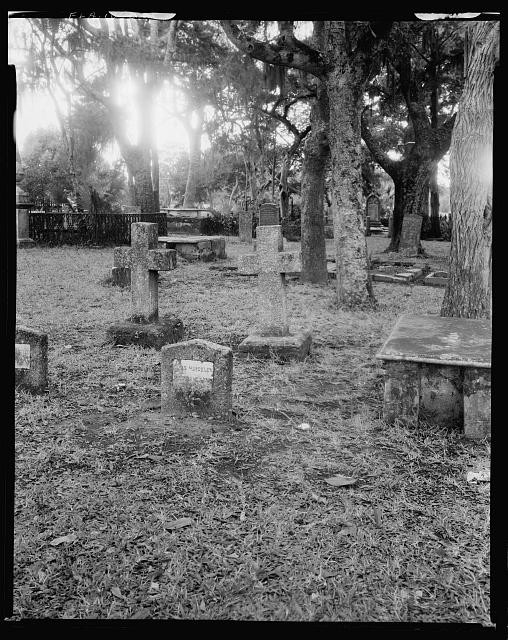 Photo:St Augustine Florida Huguenot Cemetery 1900s Tombstones Oaks